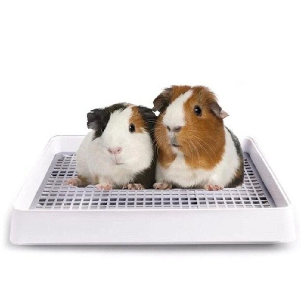 Litter Box with Grid, Small - 12inch x 15inch for small pets